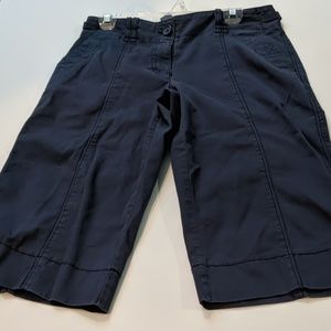 Ann Taylor Loft Size 6 navy Marissa capri pants